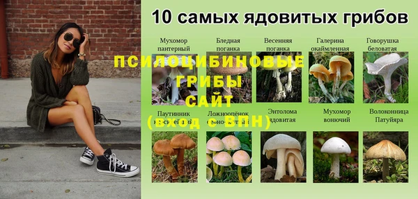 не бодяженный Бугульма