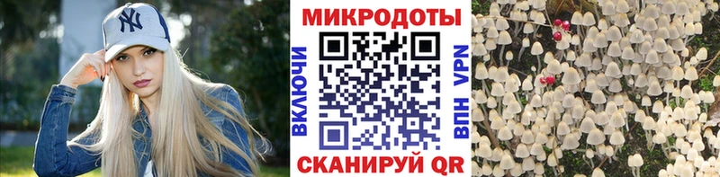 Псилоцибиновые грибы прущие грибы  магазин  наркотиков  Брюховецкая 