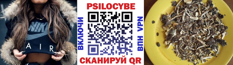 Псилоцибиновые грибы Psilocybe Брюховецкая